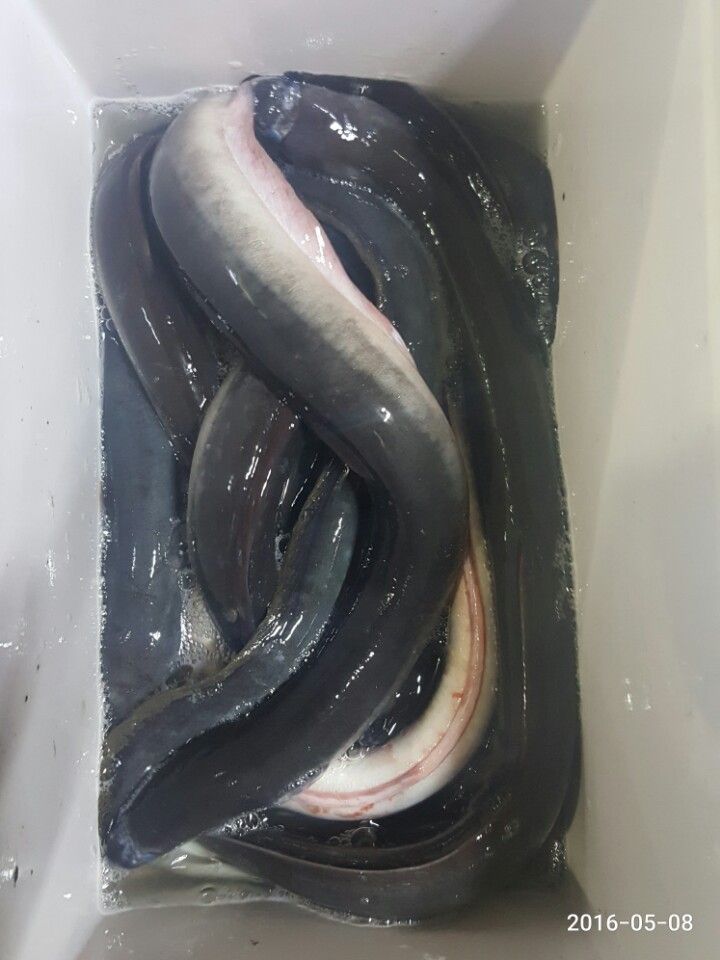 KakaoTalk_20160508_210105219.jpg