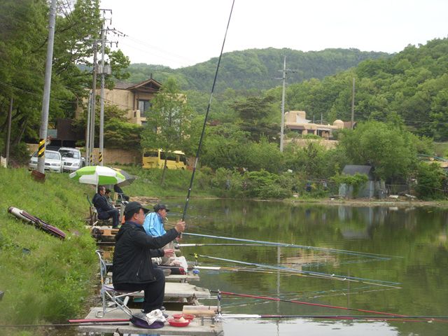 SDC17620.jpg