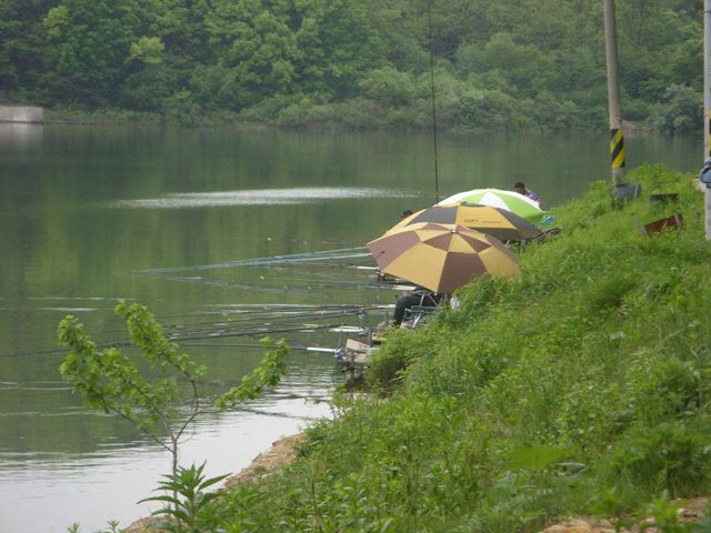 SDC17618.jpg