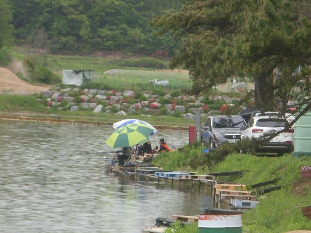 SDC17637.jpg