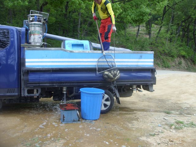SDC17631.jpg