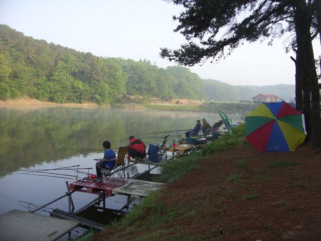 SDC17643.jpg