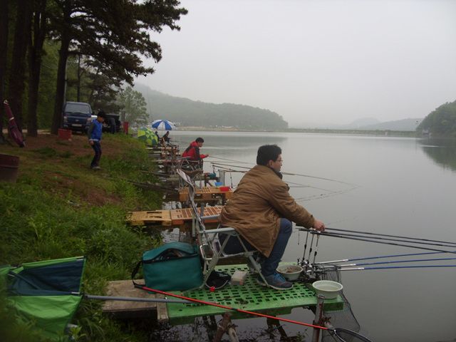 SDC17639.jpg