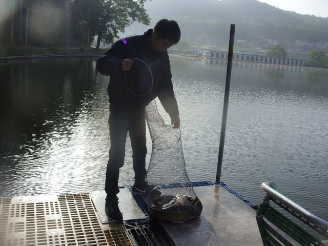 SDC17651.jpg