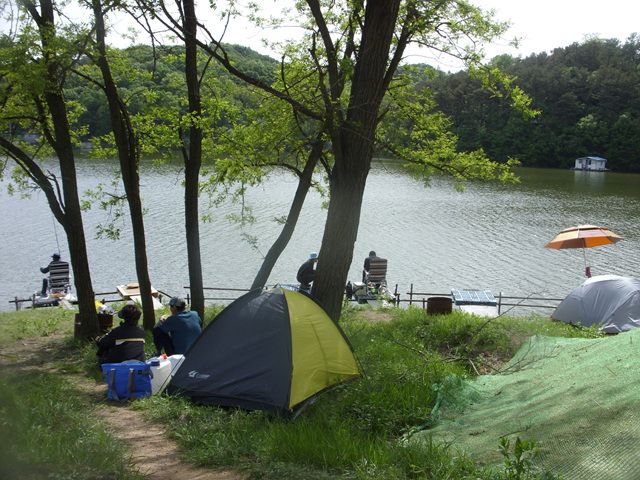 SDC17657.jpg