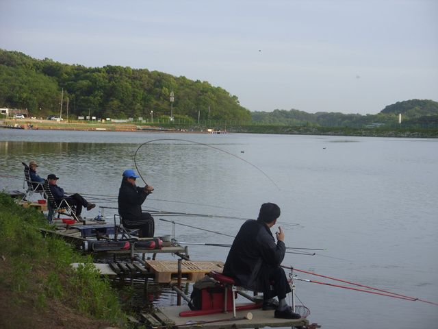 SDC17664.jpg