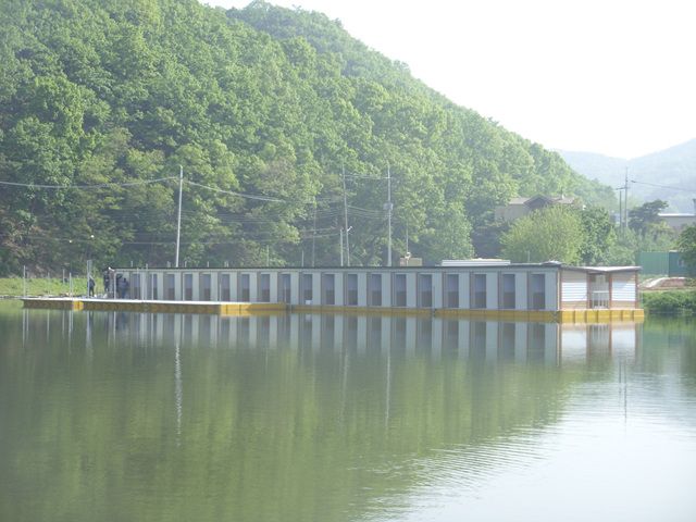 SDC17653.jpg