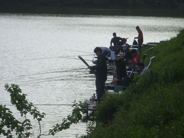 SDC17662.jpg