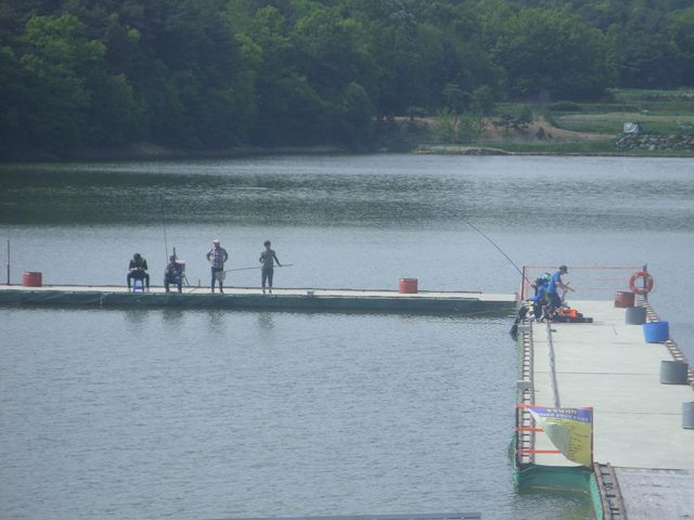 SDC17686.jpg