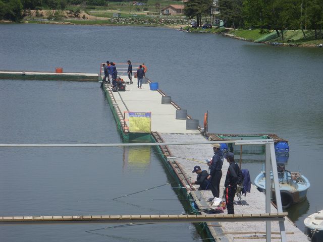 SDC17679.jpg