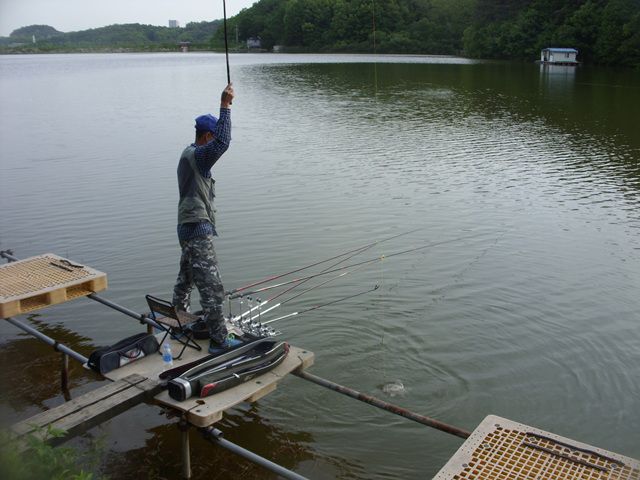 SDC17689.jpg