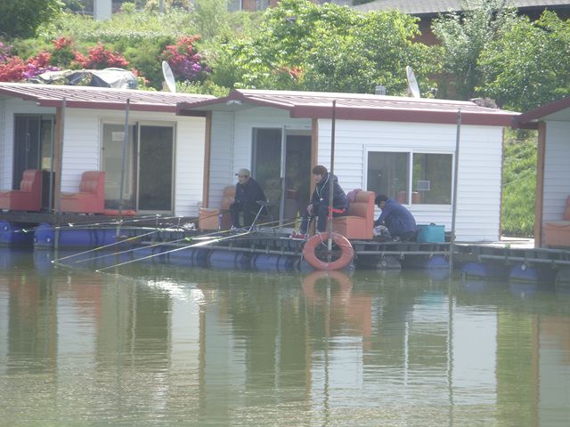 SDC17678.jpg