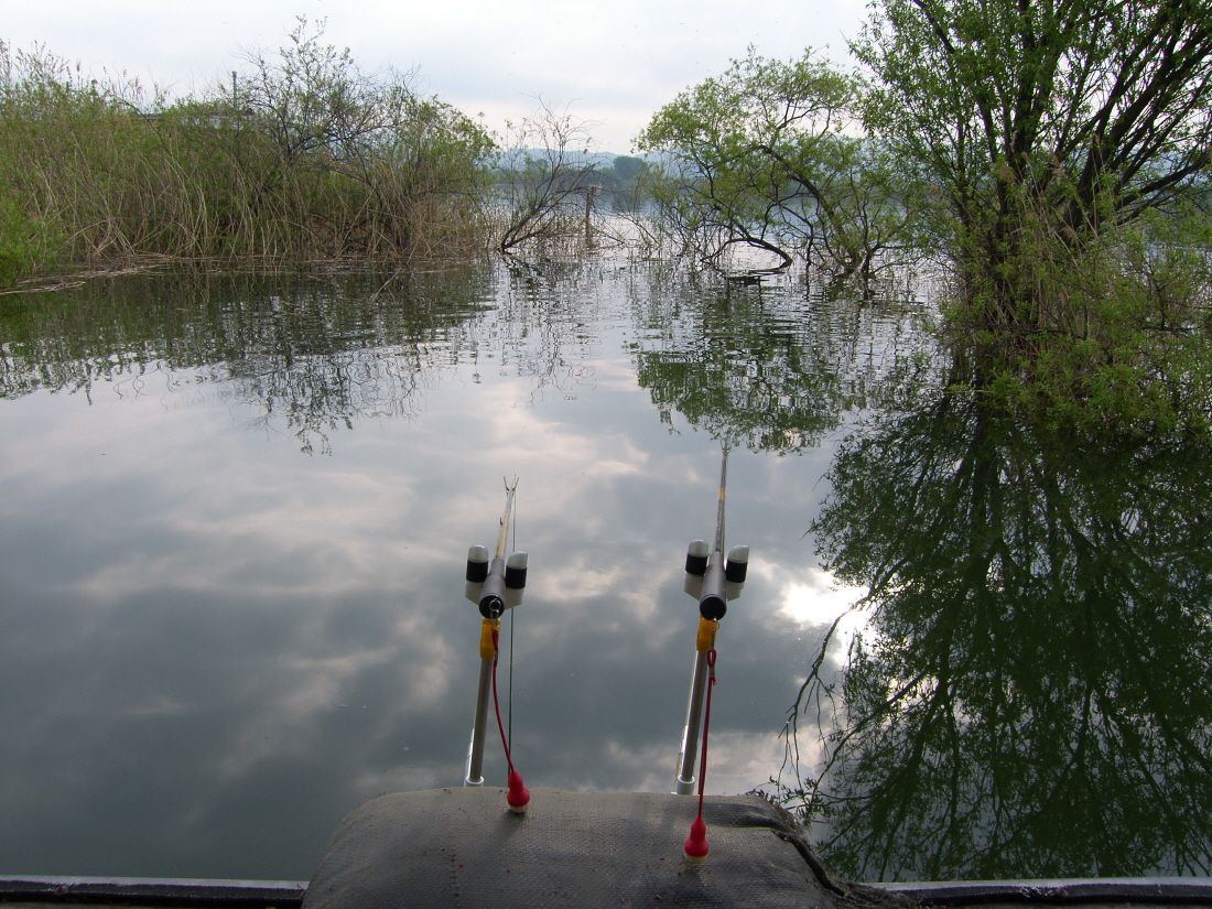 SH102166.JPG