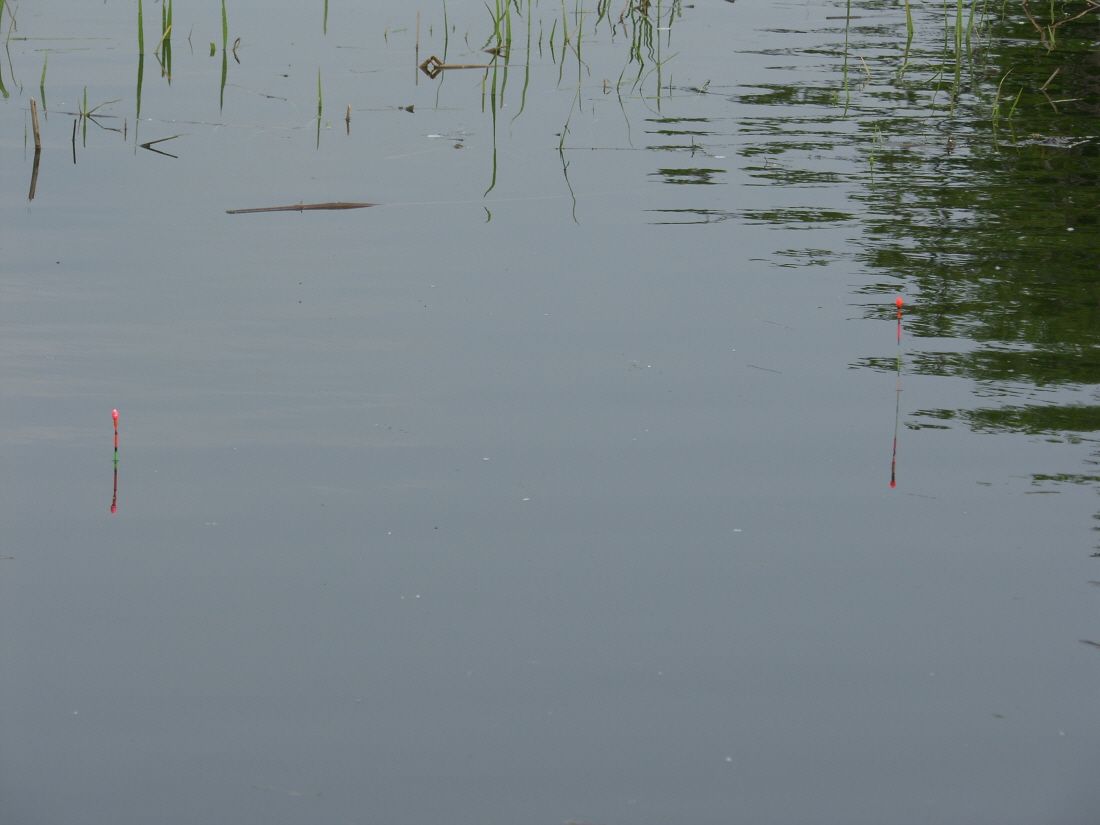 SH102187.JPG