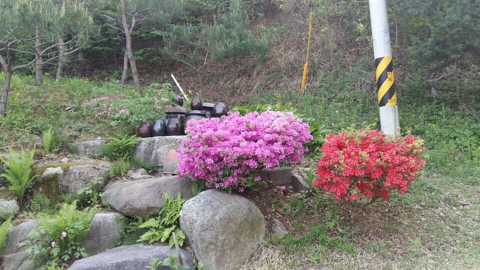 KakaoTalk_20160505_180139454.jpg