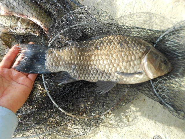 DSCN3142.JPG