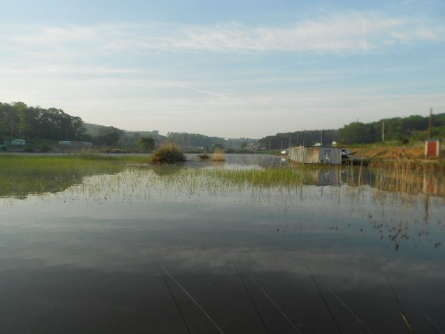 DSCN3113.JPG