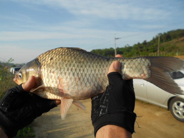 DSCN3121.JPG