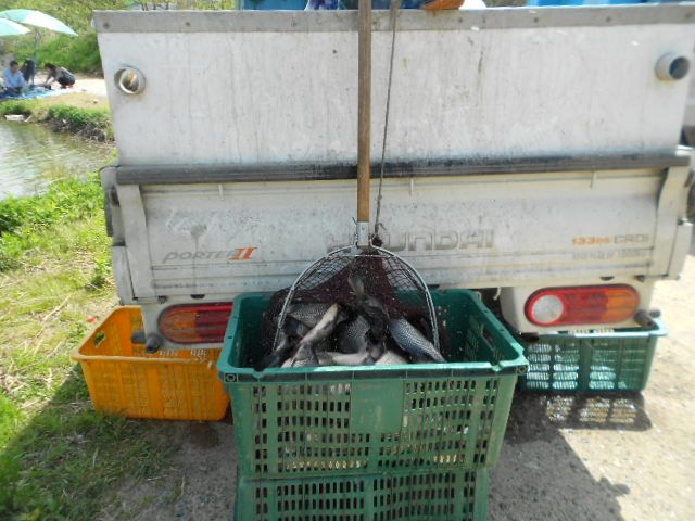 DSCN3087.JPG