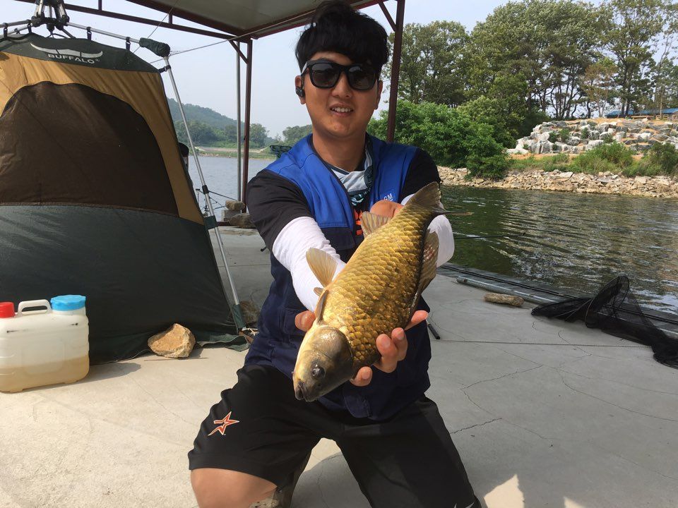 양오낚시터 유료낚시터 > 안녕하세요 인천 강화 토종대물터 양오낚시터 (당산지) 조황입니다. : 낚시사랑