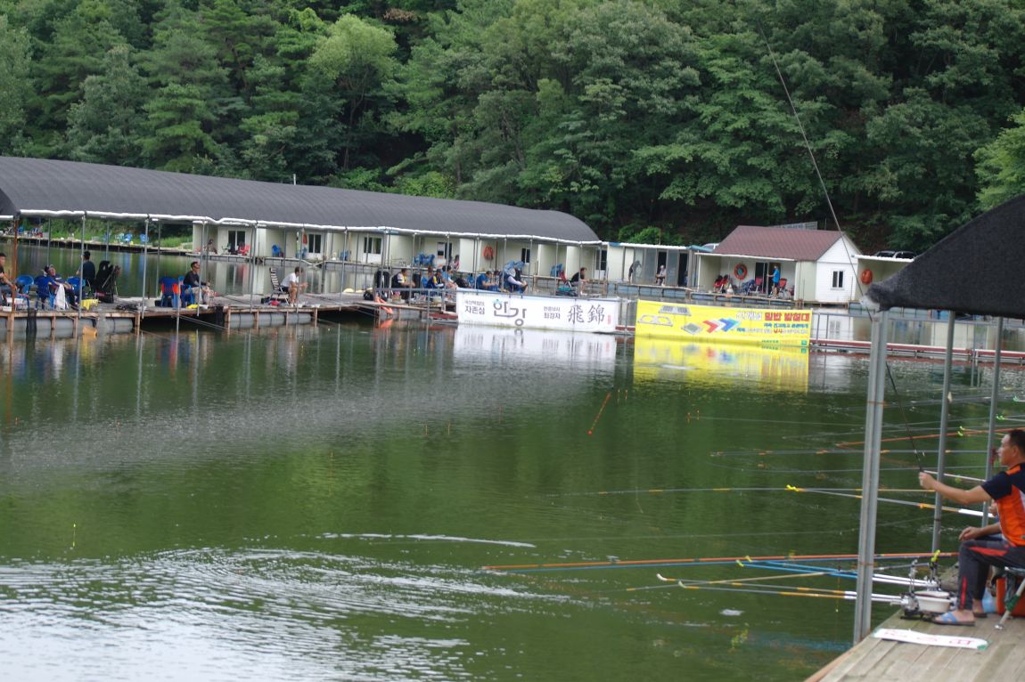 용인지곡낚시공원 유료낚시터 > ◐ 초대박 혼자서 4짜를 5마리를 ◐ : 낚시사랑