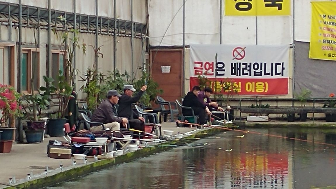 목현낚시터 유료낚시터 > 전천후 목현낚시터로 초대합니다 : 낚시사랑
