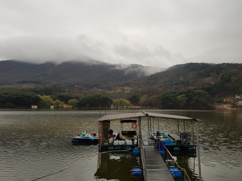 산들낚시터 유료낚시터 > 아산 산들낚시터의 비,바람의 식목일 모습!!! : 낚시사랑