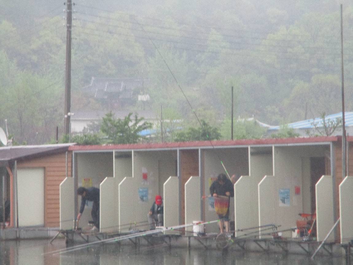 가산낚시터 유료낚시터 > 가산 금요일 토오일 조황 정보 : 낚시사랑