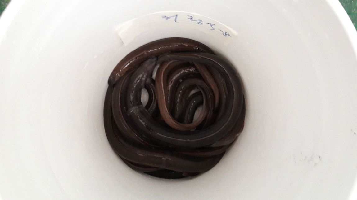 2019.02.06 ¿µ¿Á 012.jpg
