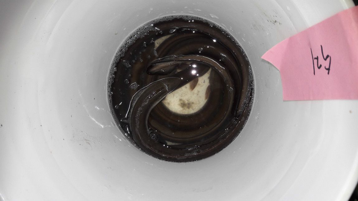 2019.02.06 ¿µ¿Á 035.jpg