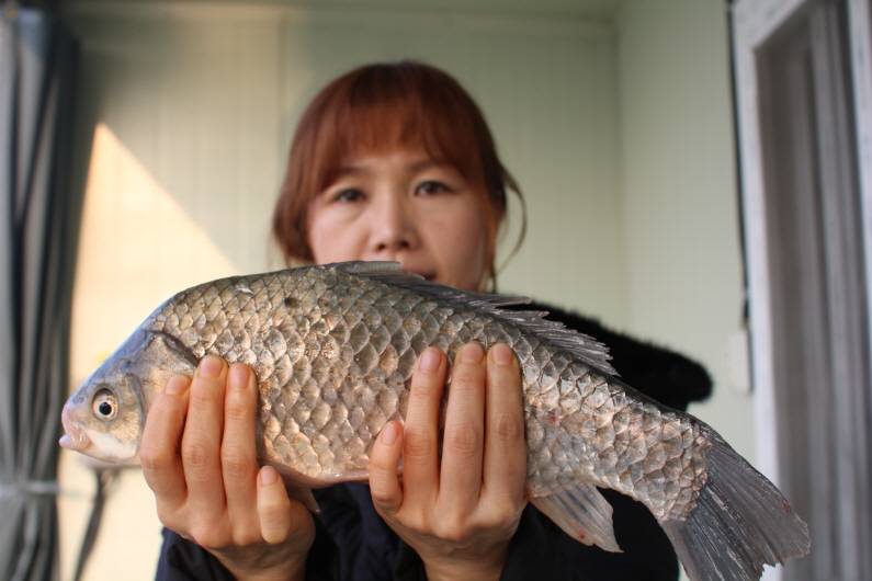 크기변환IMG_7872.JPG
