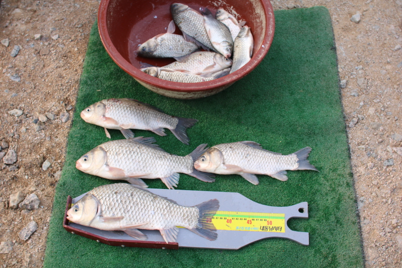 ũ⺯ȯIMG_7965.JPG