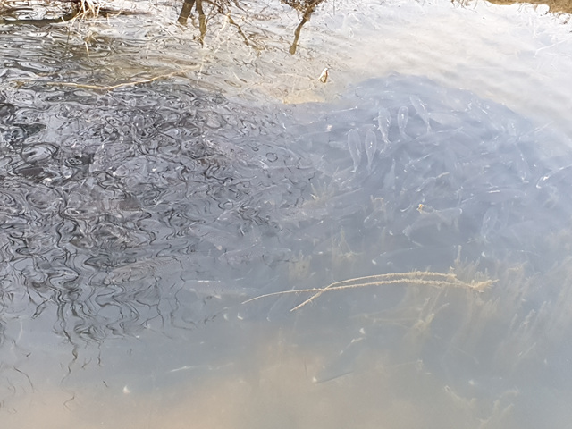 20190403_065151.jpg