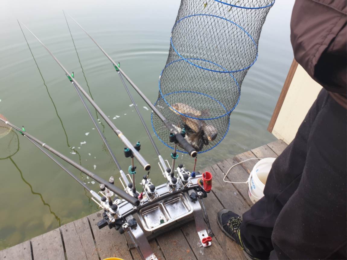 20190407_070646.jpg
