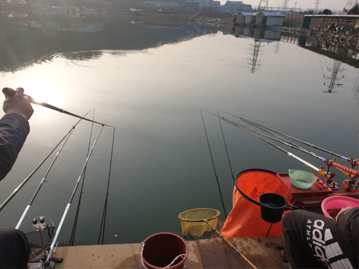 20190407_072922.jpg