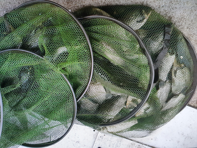 20190501_075933.jpg