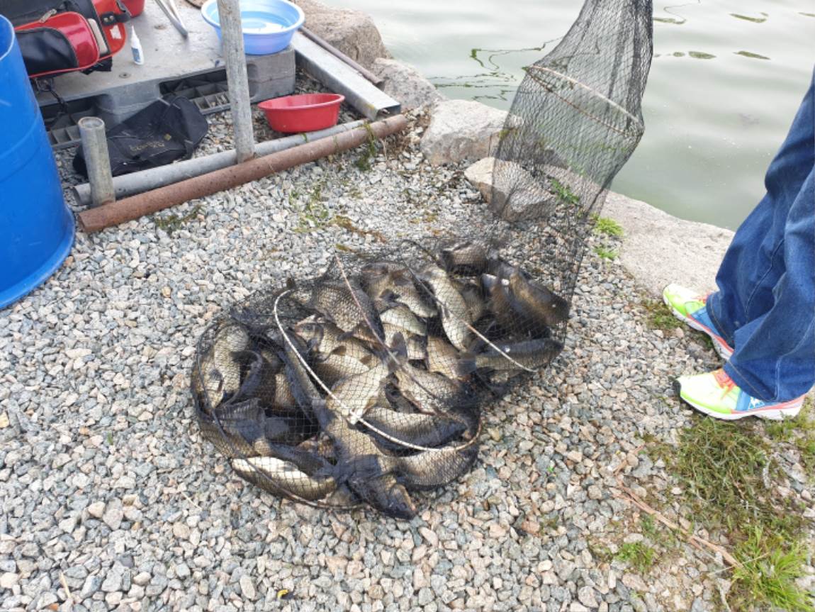 20190504_162328.jpg