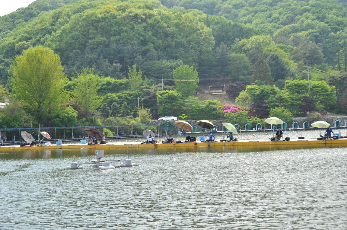 DSC_8210.JPG