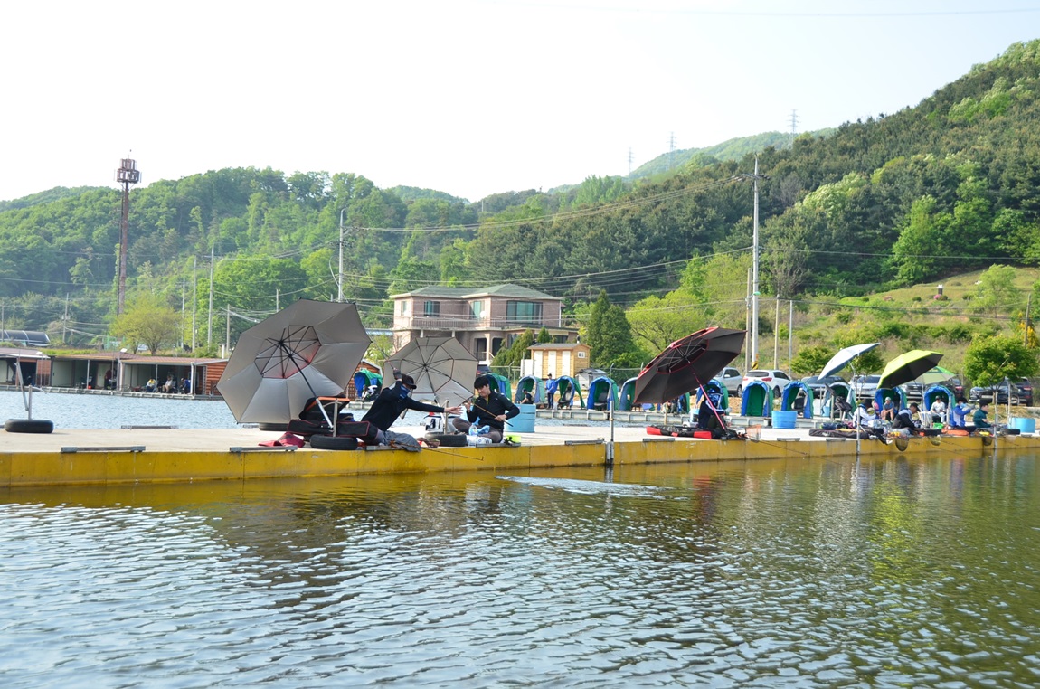 DSC_8242.JPG