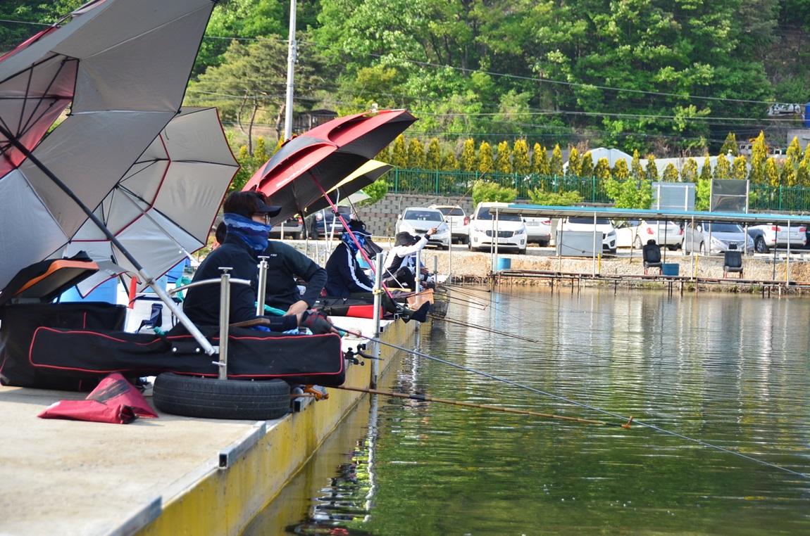 DSC_8244.JPG