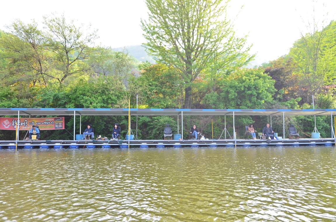 DSC_8250.JPG