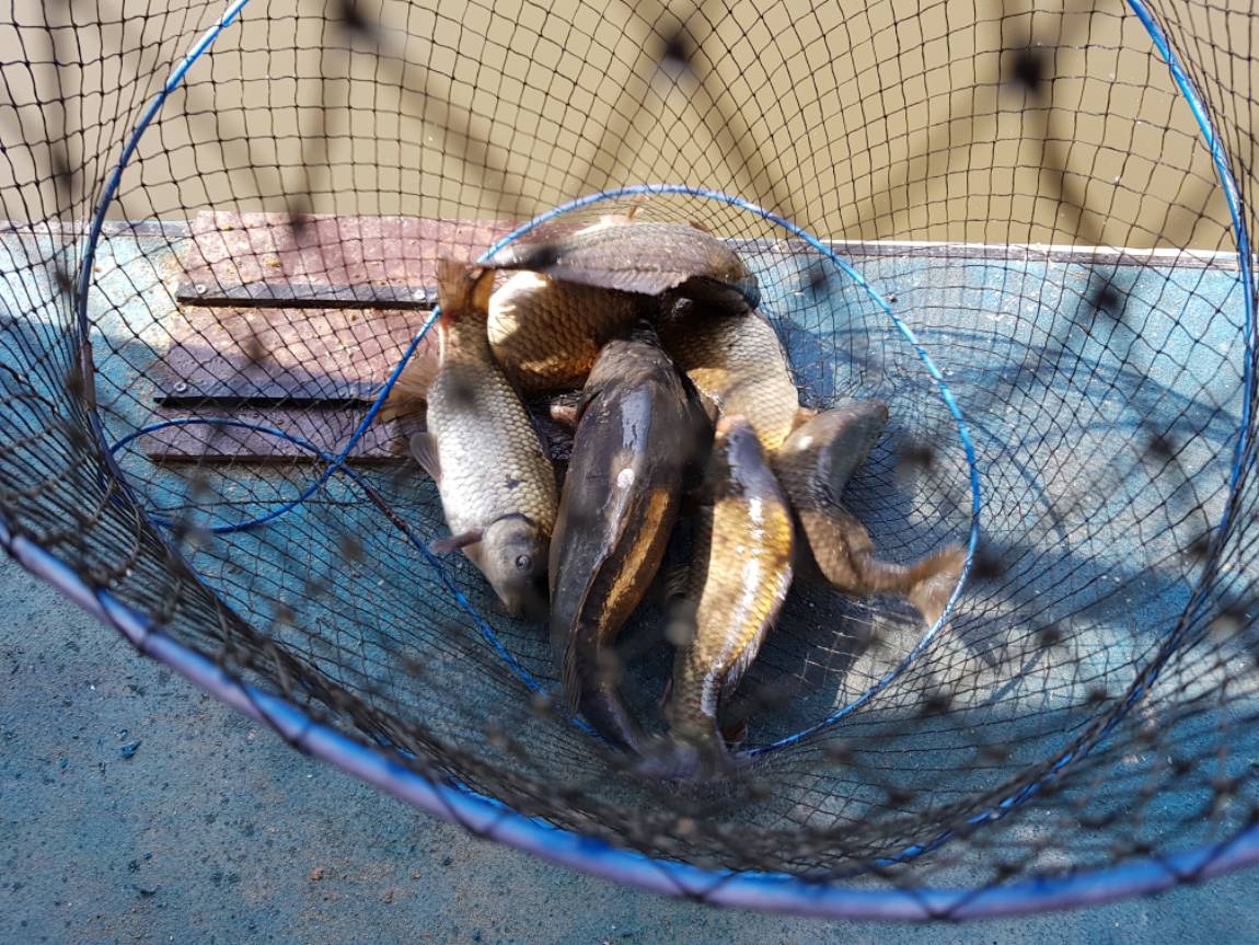 20190510_093457.jpg