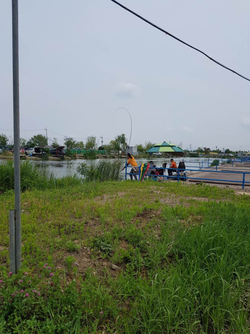 20190609_113005.jpg