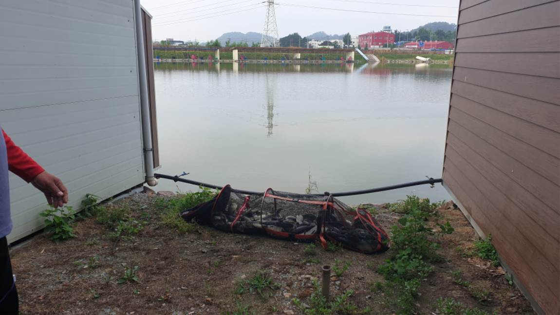 20190712_065350.jpg