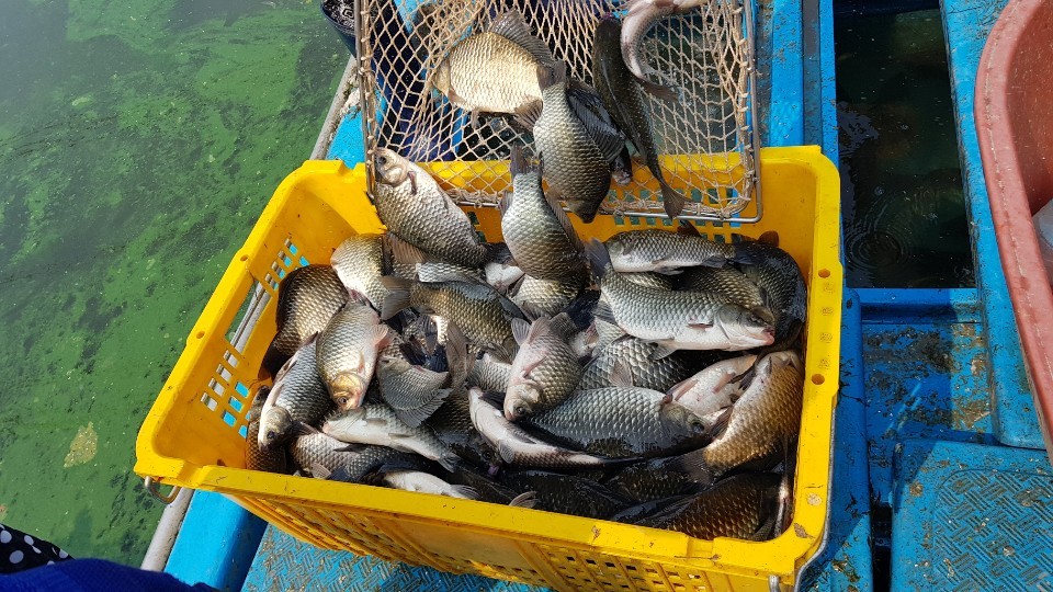 KakaoTalk_20190813_112127151.jpg