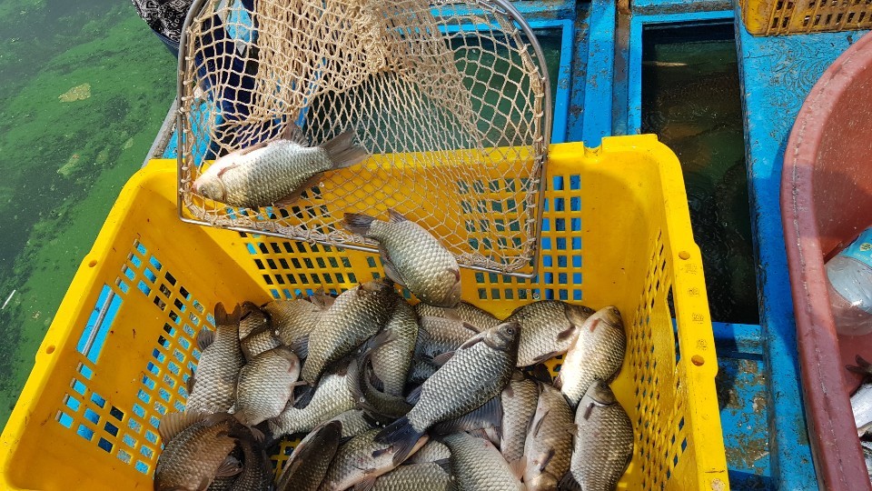 KakaoTalk_20190813_112130701.jpg
