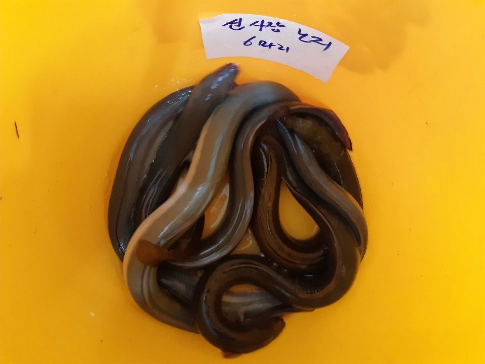 2019.09.11 ¿µ¿Á 038.jpg