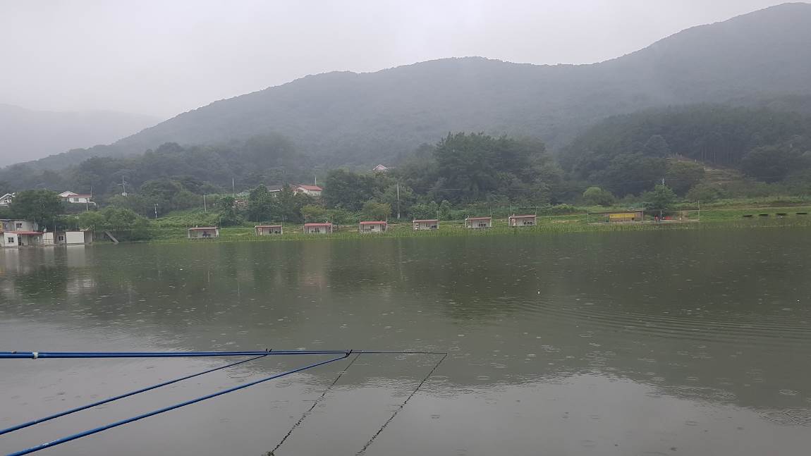20190909_111909.jpg