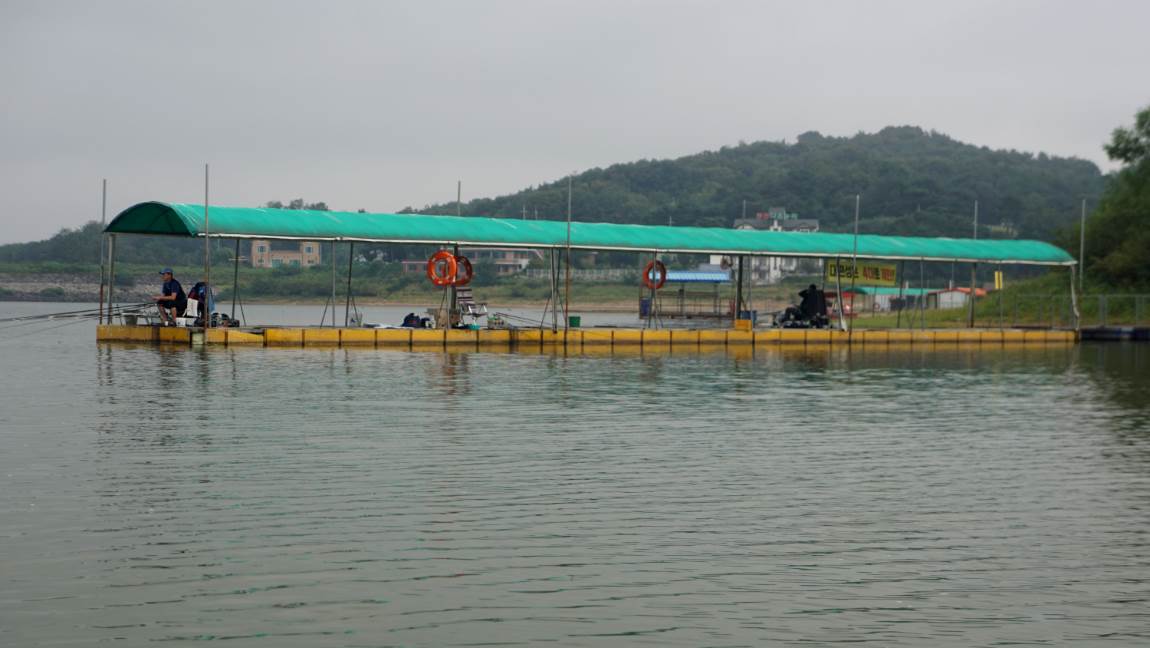 DSC02646-d.jpg