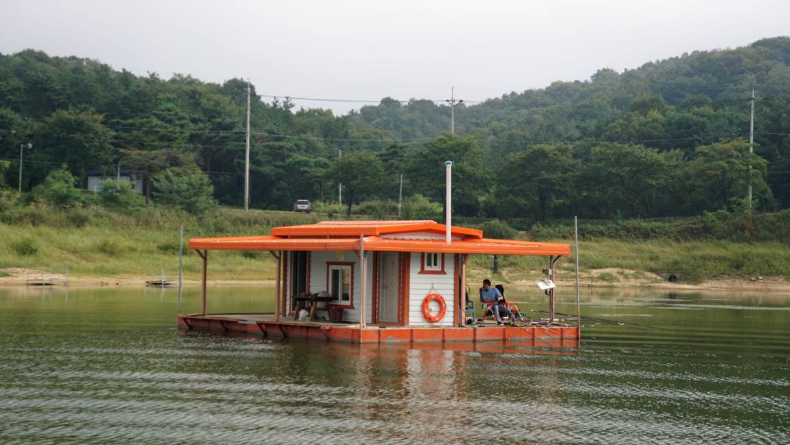 DSC02647-d.jpg
